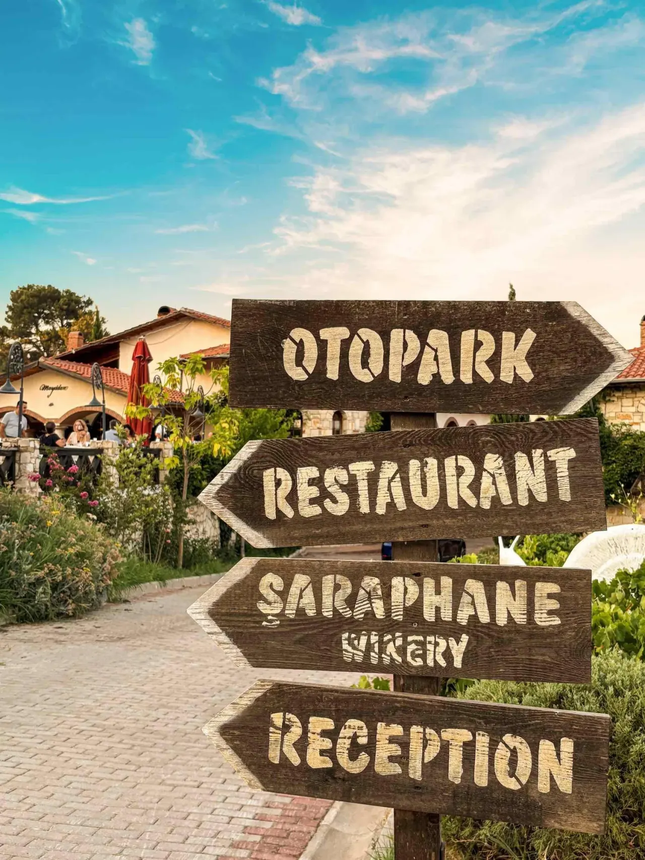 Ephesus & Wine Tasting Tour
