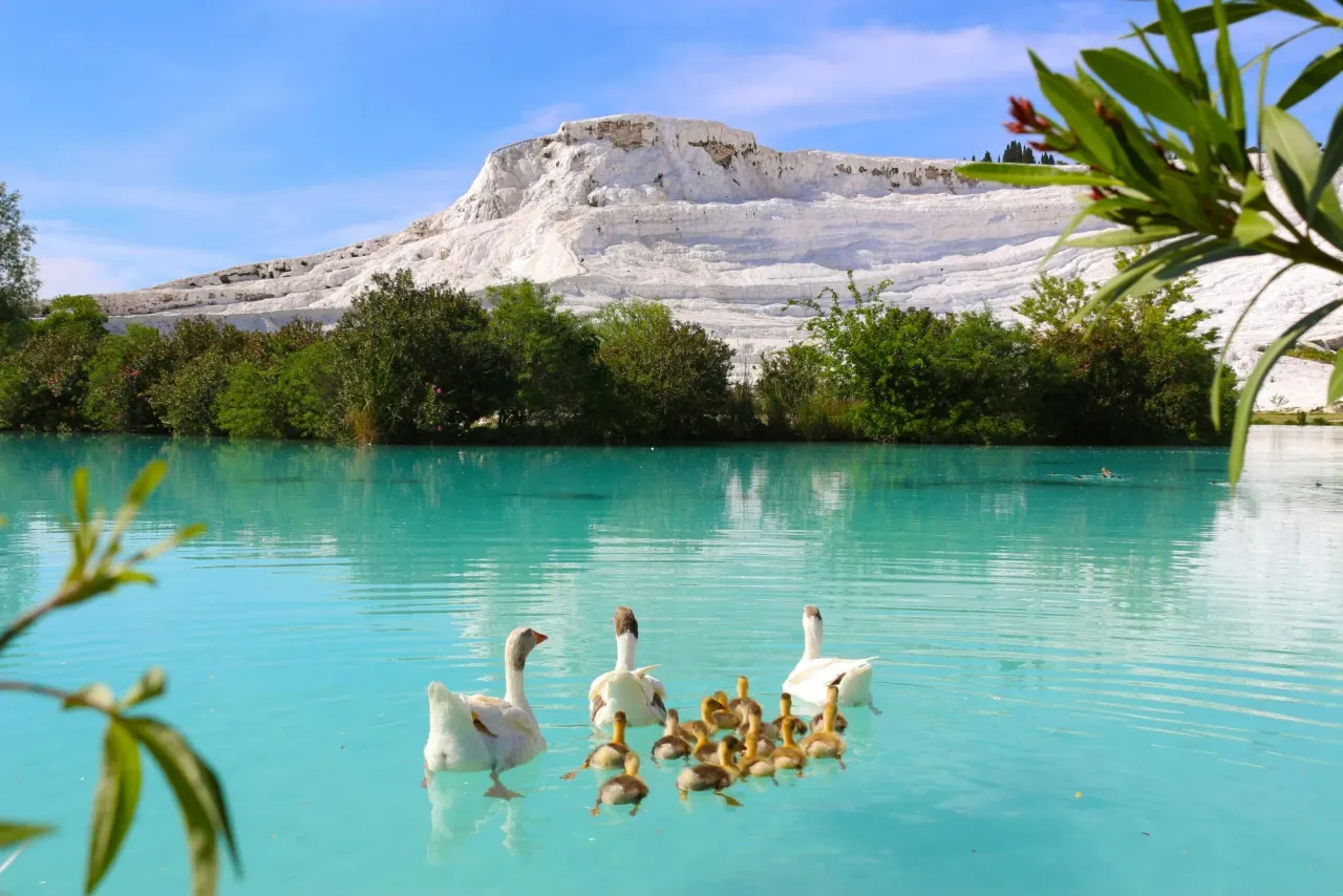 Fethiye to Pamukkale Tour