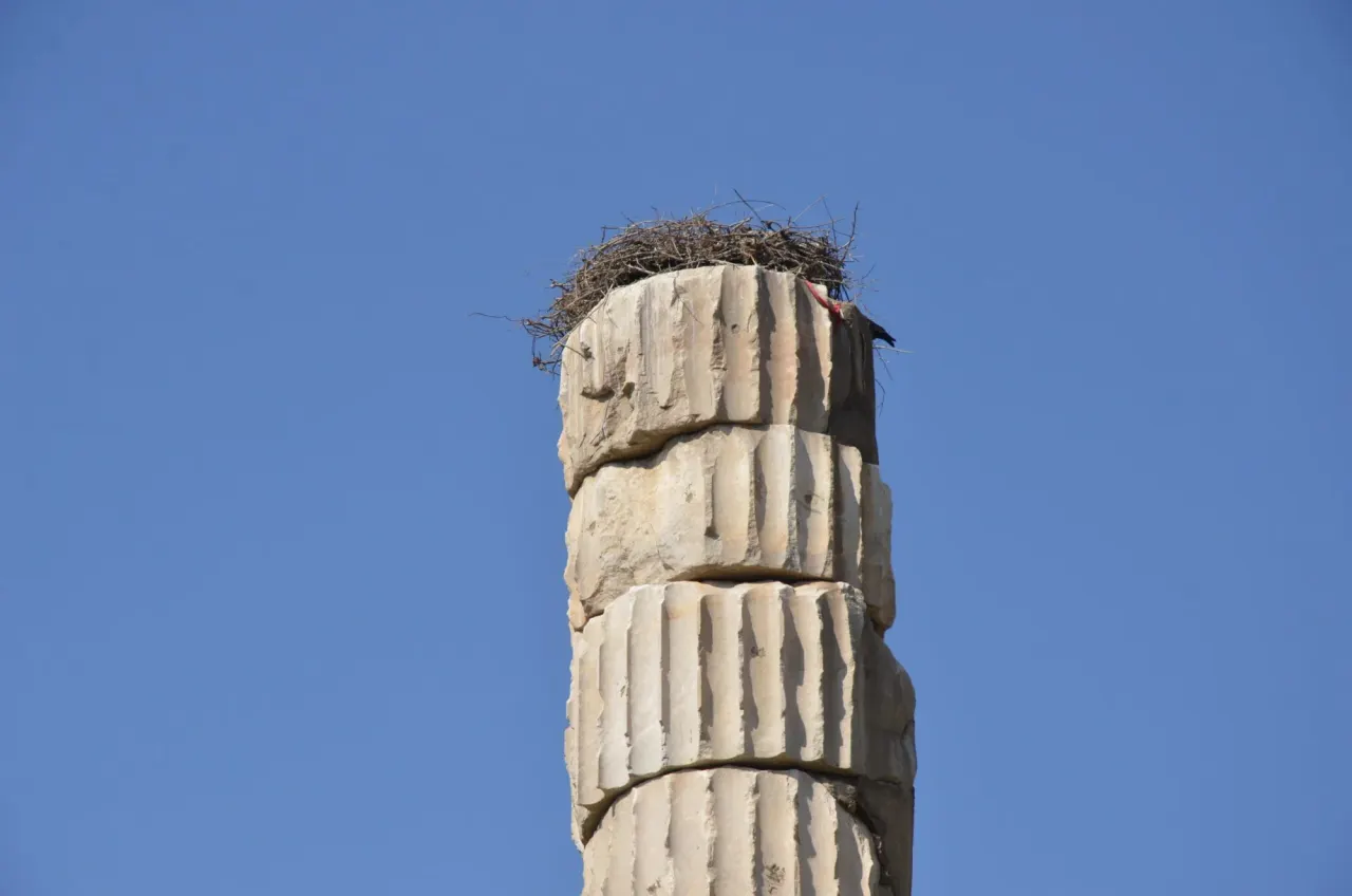 Ephesus and Sirince Tour