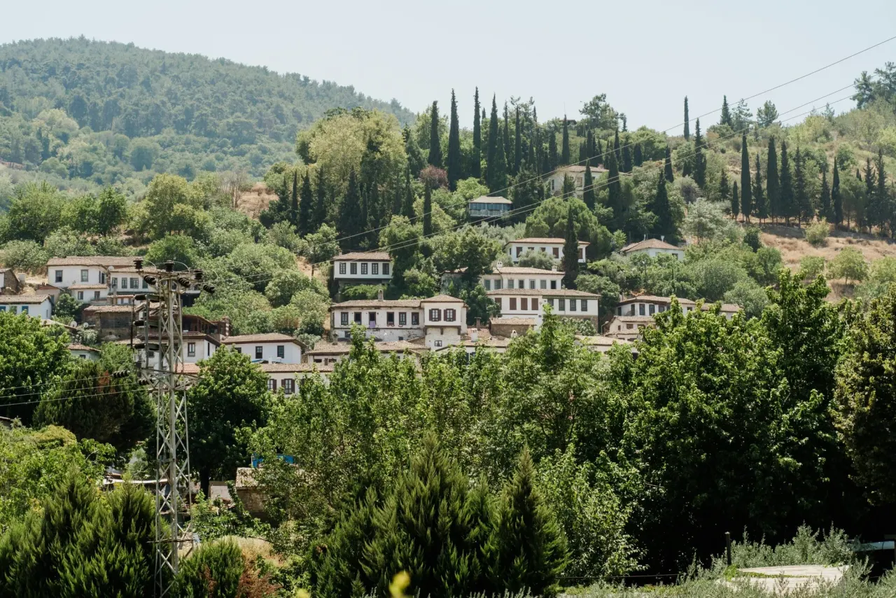 Ephesus and Sirince Tour