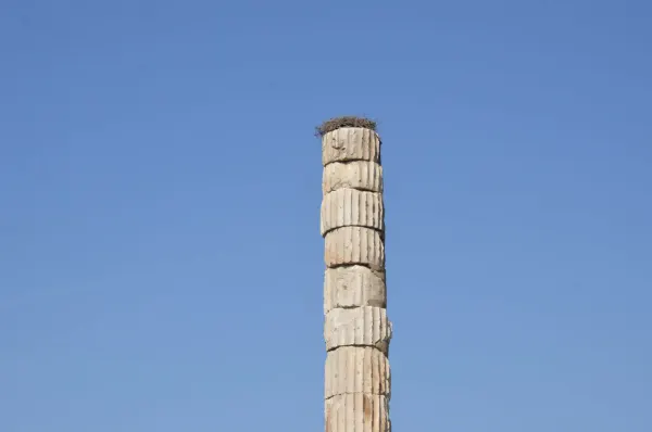 Temple of Artemis 33