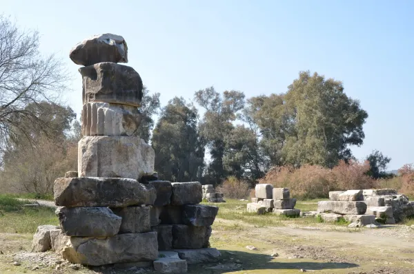 Temple of Artemis 41