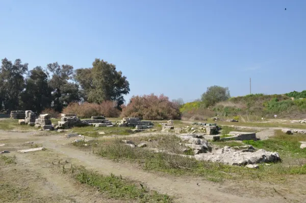 Temple of Artemis 48