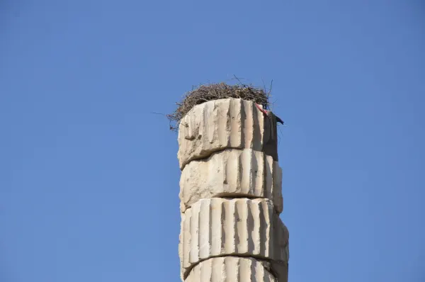 Temple of Artemis 35