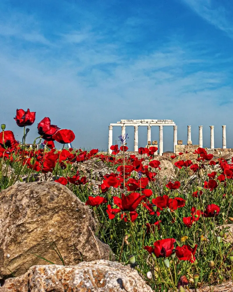Laodicea Ancient City 1