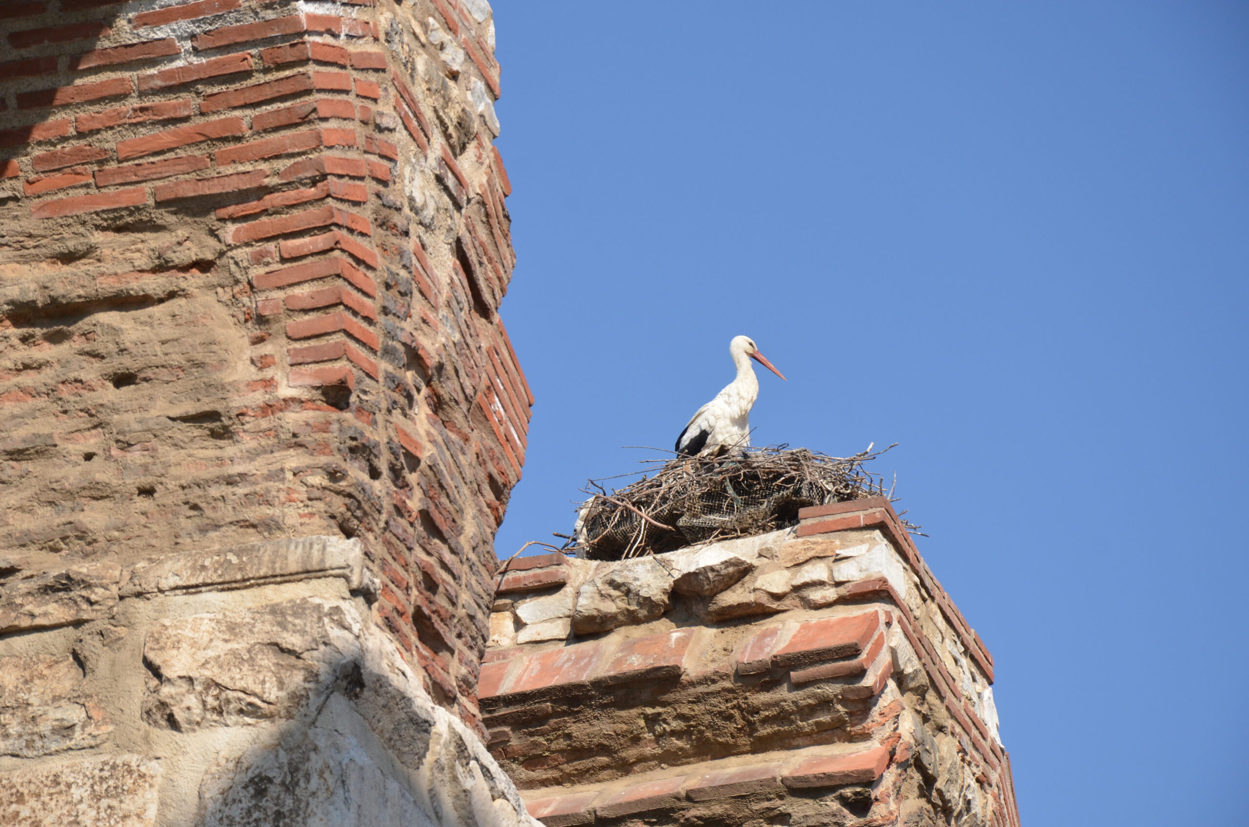Ephesus Guidebook Tour Operator