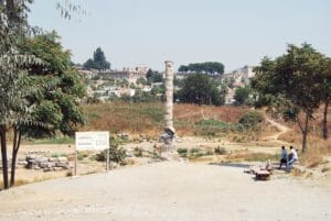 Ruins and remaining column of the Temple of Artemis in Ephesus surrounded by greenery in Selcuk, Turkey.