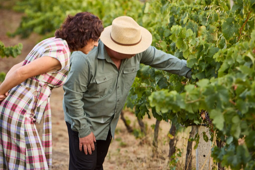 Ephesus & Wine Tasting Tour — 8