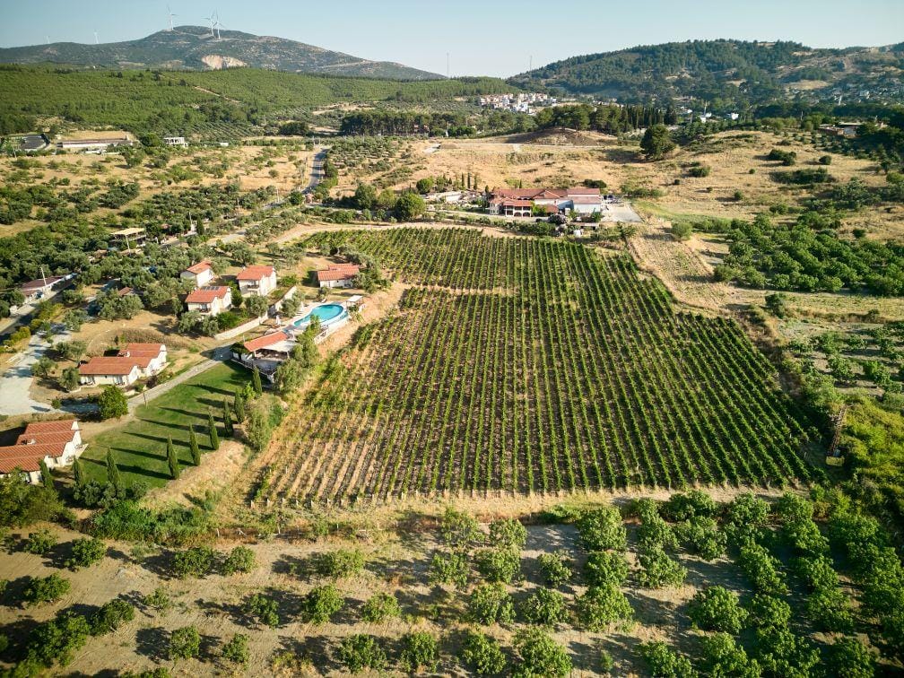 Ephesus & Wine Tasting Tour — 9