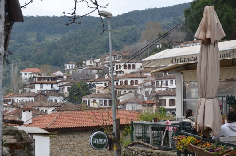 ​Ephesus and Sirince — photo 2