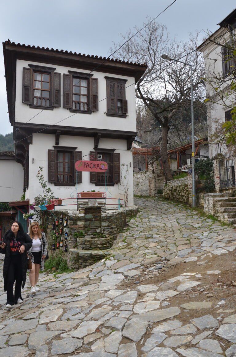 ​Ephesus and Sirince — photo 1